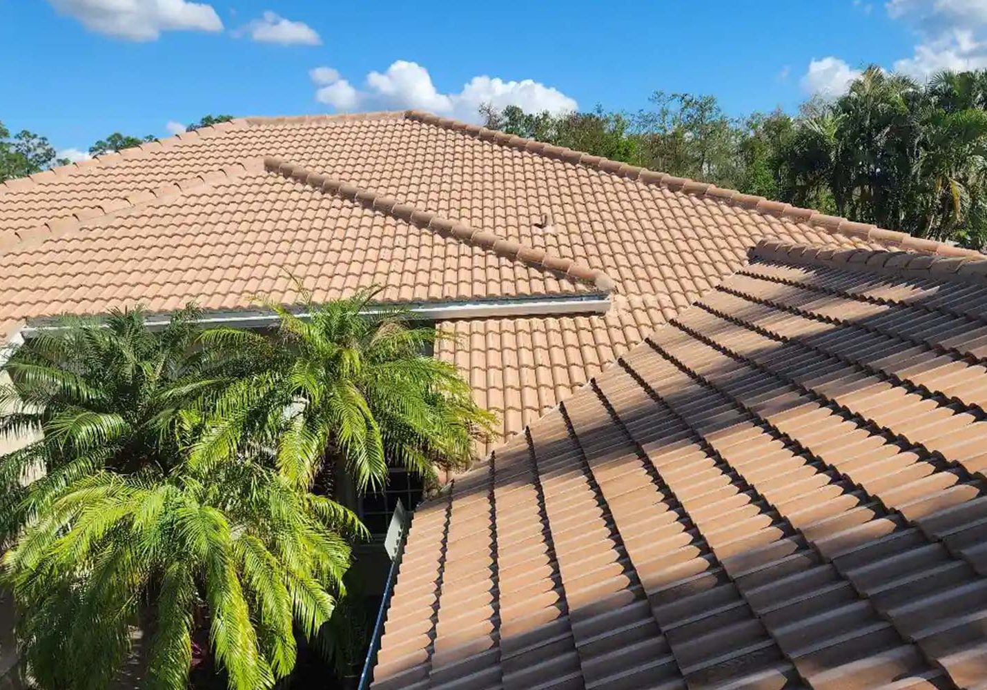 terracotta tile roof and palm trees